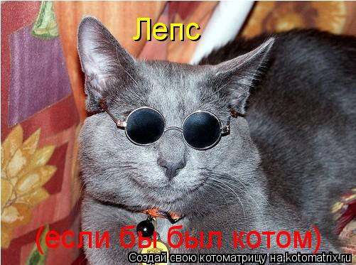 Лепс (если бы был котом)... Котоматрица: Лепс (если бы был котом)
