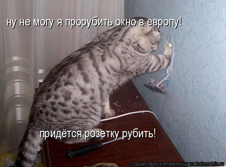ну не могу я прорубить окно в европу! придётся розетку рубить!... Котоматрица: ну не могу я прорубить окно в европу! придётся розетку рубить!