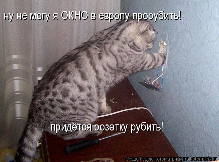 придётся розетку рубить! ну не могу я ОКНО в европу прорубить!... Котоматрица: придётся розетку рубить! ну не могу я ОКНО в европу прорубить!
