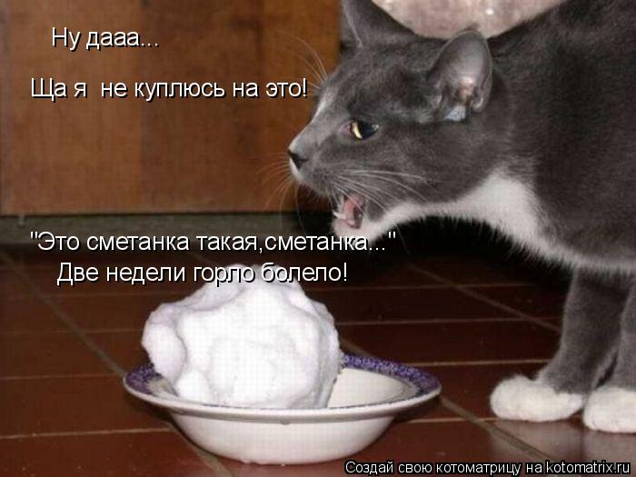 Ну дааа... Ща я не куплюсь на это! "Это сметанка такая,сметанка..." Две недели горло болело!... Котоматрица: Ну дааа... Ща я не куплюсь на это! "Это сметанка такая,сметанка..." Две недели горло болело!