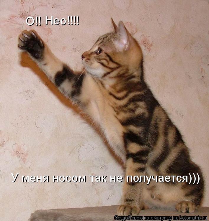 Нео!!!! У меня носом так не получается))) О!!... Котоматрица: Нео!!!! У меня носом так не получается))) О!!