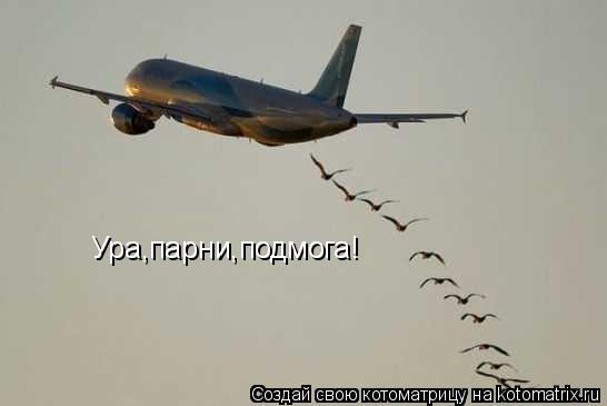Ура,парни,подмога!... Котоматрица: Ура,парни,подмога!