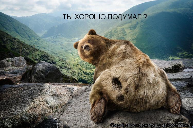 ...ТЫ ХОРОШО ПОДУМАЛ ?... Котоматрица: ...ТЫ ХОРОШО ПОДУМАЛ ?