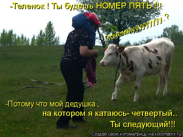 на котором я катаюсь- четвертый.. -Потому что мой дедушка , -Теленок ! Ты будешь НОМЕР ПЯТЬ !!! Ты сл... Котоматрица: на котором я катаюсь- четвертый.. -Потому что мой дедушка , -Теленок ! Ты будешь НОМЕР ПЯТЬ !!! Ты следующий!!! Почеммууууууууу..?