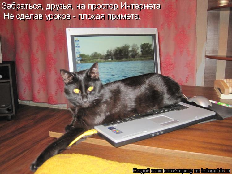 Забраться, друзья, на простор Интернета Не сделав уроков - плохая примета.... Котоматрица: Забраться, друзья, на простор Интернета Не сделав уроков - плохая примета.