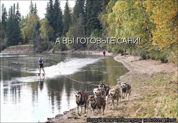 А ВЫ ГОТОВЬТЕ САНИ!... Котоматрица: А ВЫ ГОТОВЬТЕ САНИ!
