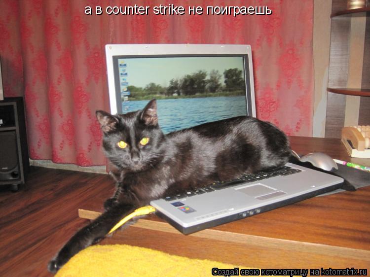 а в counter strike не поиграешь... Котоматрица: а в counter strike не поиграешь