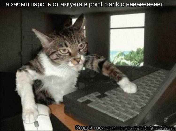 я забыл пароль от аккунта в point blank о нееееееееет... Котоматрица: я забыл пароль от аккунта в point blank о нееееееееет
