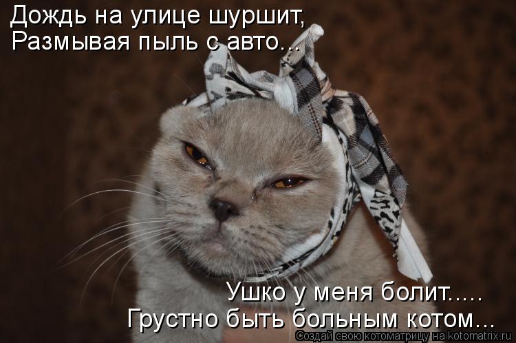 Котоматрица: Дождь на улице шуршит, Размывая пыль с авто... Ушко у меня болит..... Грустно быть больным котом...
