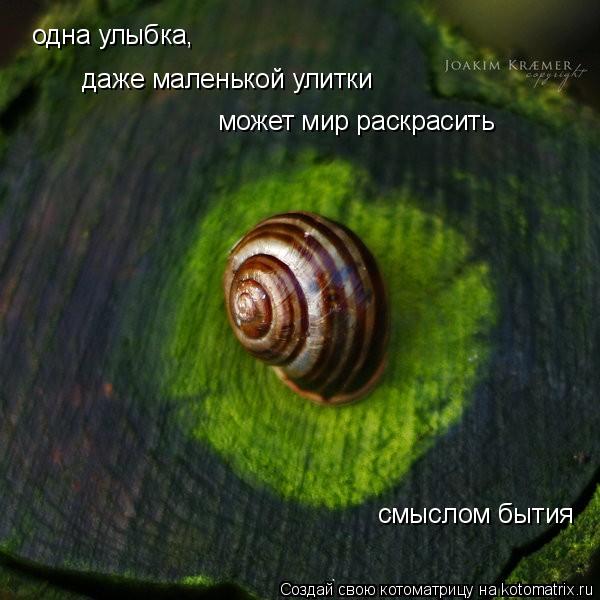 одна улыбка, одна улыбка, даже маленькой улитки может мир раскрасить смыслом бытия... Котоматрица: одна улыбка, одна улыбка, даже маленькой улитки может мир раскрасить смыслом бытия
