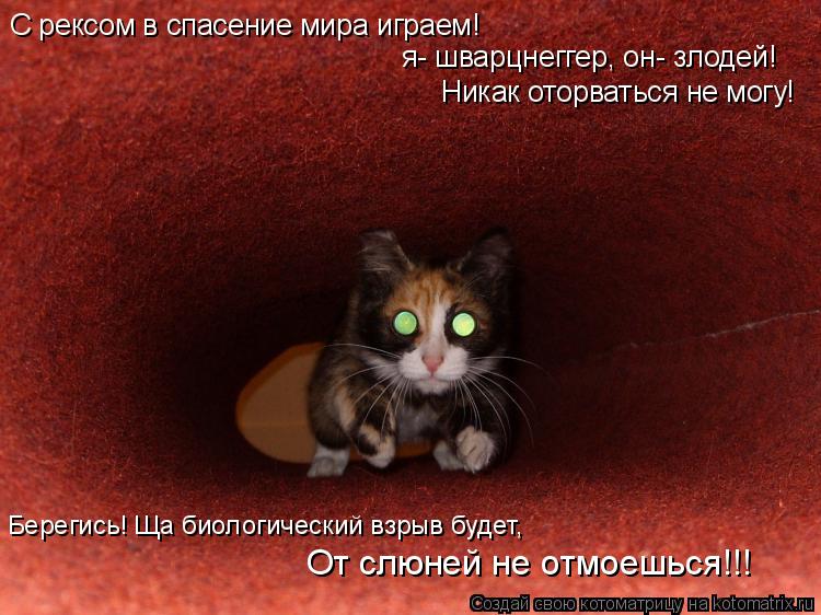 С рексом в спасение мира играем! я- шварцнеггер, он- злодей! Никак оторваться не могу! От слюней не о... Котоматрица: С рексом в спасение мира играем! я- шварцнеггер, он- злодей! Никак оторваться не могу! От слюней не отмоешься!!! Берегись! Ща биологический взр