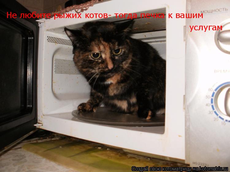 Не любите рыжих котов- тогда печка к вашим услугам... Котоматрица: Не любите рыжих котов- тогда печка к вашим услугам
