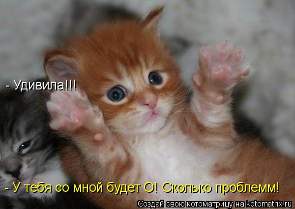 - У тебя со мной будет О! Сколько проблемм! - Удивила!!!... Котоматрица: - У тебя со мной будет О! Сколько проблемм! - Удивила!!!