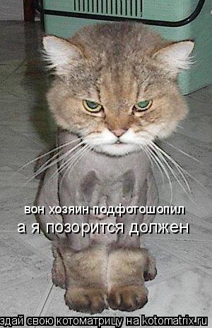 вон хозяин подфотошопил а я позорится должен... Котоматрица: вон хозяин подфотошопил а я позорится должен