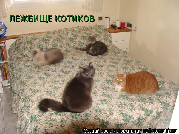 ЛЕЖБИЩЕ КОТИКОВ... Котоматрица: ЛЕЖБИЩЕ КОТИКОВ