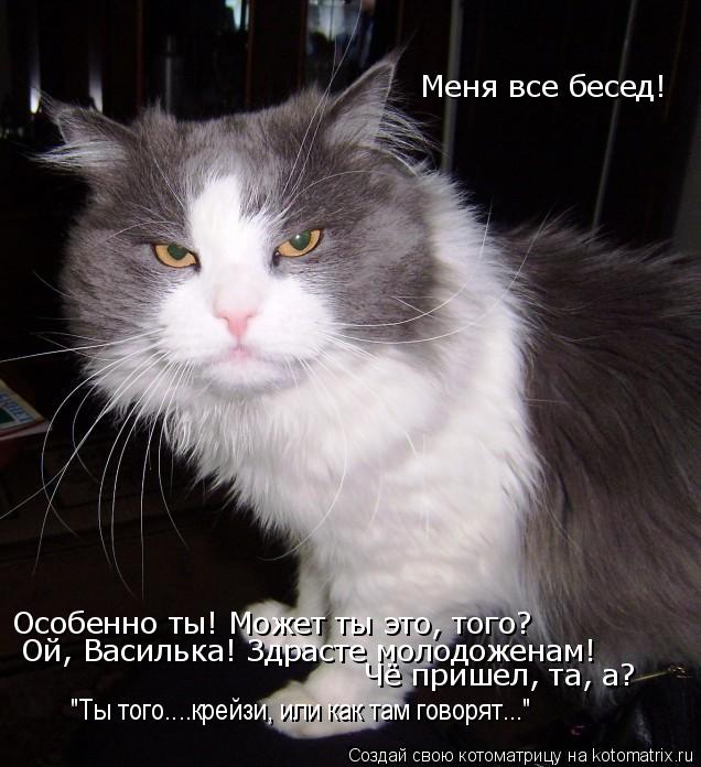 Меня все бесед! Особенно ты! Может ты это, того? Ой, Василька! Здрасте молодоженам! Чё пришел, та, а?... Котоматрица: Меня все бесед! Особенно ты! Может ты это, того? Ой, Василька! Здрасте молодоженам! Чё пришел, та, а? "Ты того....крейзи, или как там говорят..."