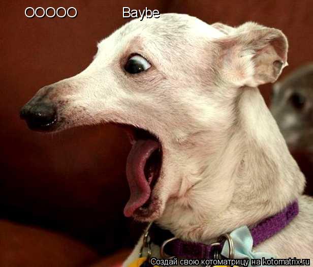 OOOOO Baybe... Котоматрица: OOOOO Baybe