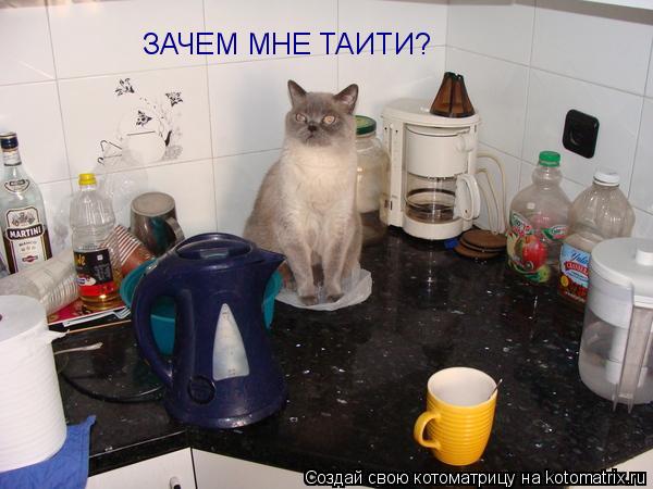 ЗАЧЕМ МНЕ ТАИТИ?... Котоматрица: ЗАЧЕМ МНЕ ТАИТИ?