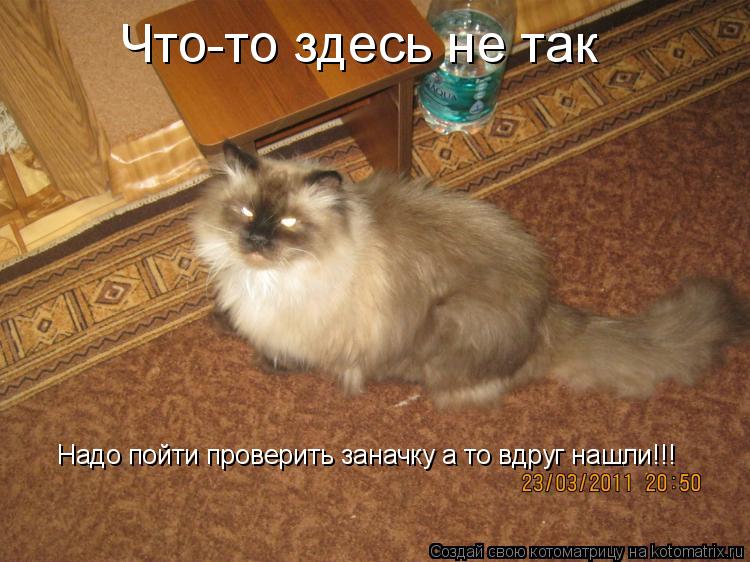 Что-то здесь не так Надо пойти проверить заначку а то вдруг нашли!!!... Котоматрица: Что-то здесь не так Надо пойти проверить заначку а то вдруг нашли!!!