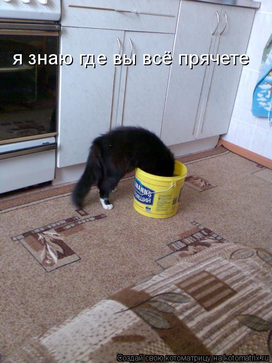 я знаю где вы всё прячете... Котоматрица: я знаю где вы всё прячете