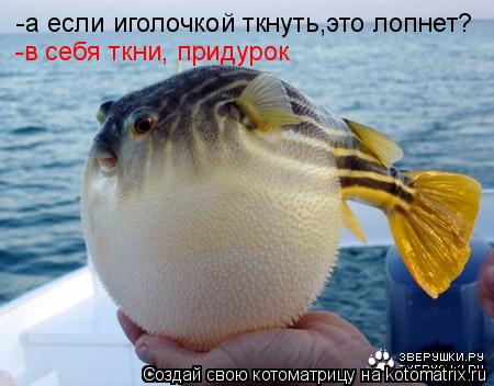 -а если иголочкой ткнуть,это лопнет? -в себя ткни, придурок... Котоматрица: -а если иголочкой ткнуть,это лопнет? -в себя ткни, придурок