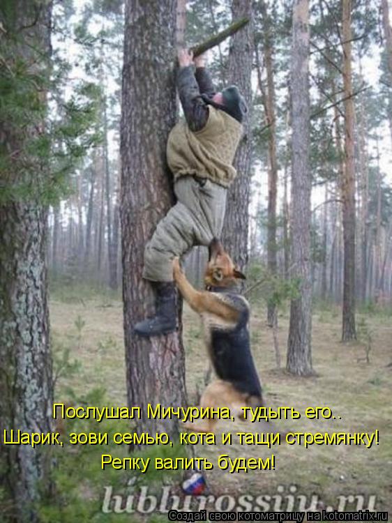 Шарик, зови семью, кота и тащи стремянку! Послушал Мичурина, тудыть его.. Репку валить будем!... Котоматрица: Шарик, зови семью, кота и тащи стремянку! Послушал Мичурина, тудыть его.. Репку валить будем!
