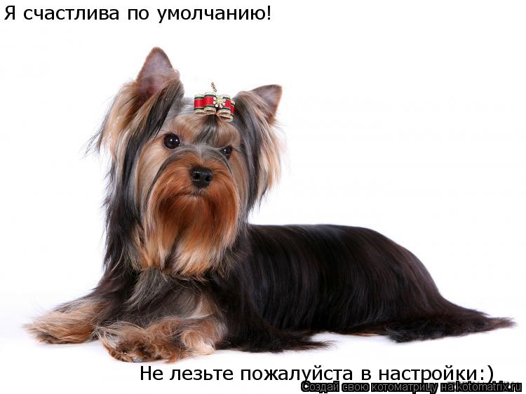 Я счастлива по умолчанию! Не лезьте пожалуйста в настройки:)... Котоматрица: Я счастлива по умолчанию! Не лезьте пожалуйста в настройки:)