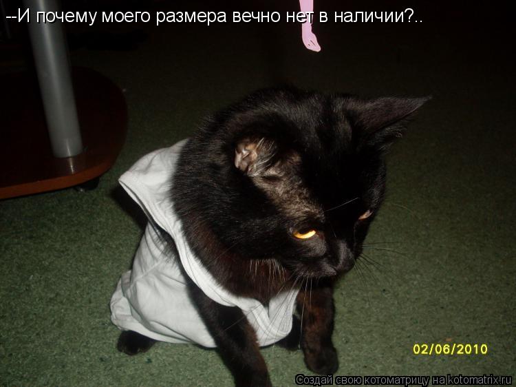 --И почему моего размера вечно нет в наличии?..... Котоматрица: --И почему моего размера вечно нет в наличии?..