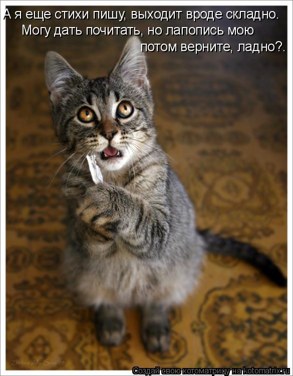 Могу дать почитать, но лапопись мою потом верните, ладно?. А я еще стихи пишу, выходит вроде складно... Котоматрица: Могу дать почитать, но лапопись мою потом верните, ладно?. А я еще стихи пишу, выходит вроде складно.