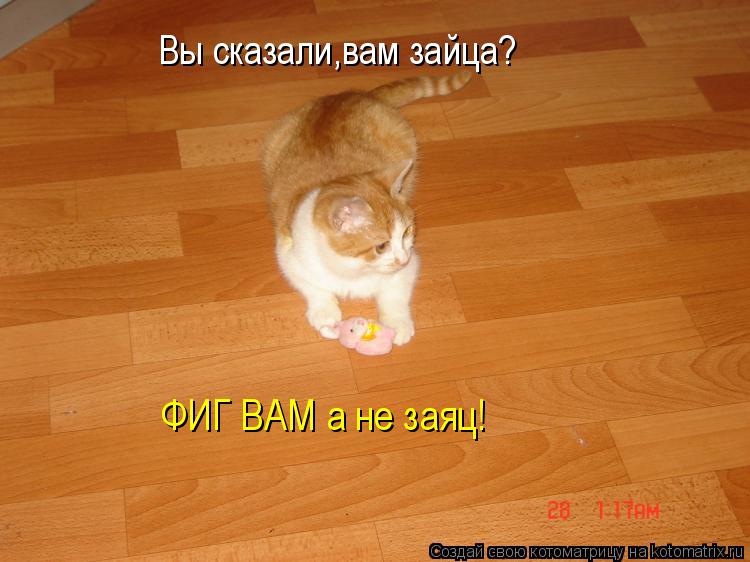 Вы сказали,вам зайца? ФИГ ВАМ а не заяц!... Котоматрица: Вы сказали,вам зайца? ФИГ ВАМ а не заяц!