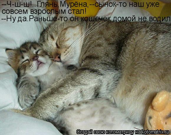 --Ч-ш-ш!..Глянь,Мурёна,--сынок-то наш уже совсем взрослым стал! --Ну да.Раньше-то он кошечек домой не... Котоматрица: --Ч-ш-ш!..Глянь,Мурёна,--сынок-то наш уже совсем взрослым стал! --Ну да.Раньше-то он кошечек домой не водил