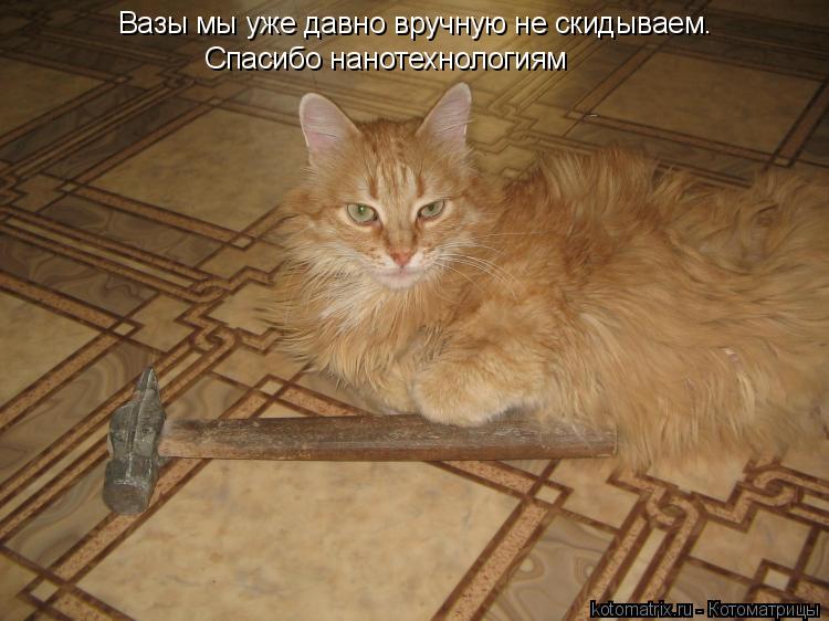 Вазы мы уже давно вручную не скидываем. Спасибо нанотехнологиям... Котоматрица: Вазы мы уже давно вручную не скидываем. Спасибо нанотехнологиям