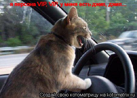 я персона VIP, VIP, у меня есть джип, джип... я персона VIP, VIP, у меня есть джип, джип...... Котоматрица: я персона VIP, VIP, у меня есть джип, джип... я персона VIP, VIP, у меня есть джип, джип...