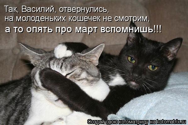 Так, Василий, отвернулись, на молоденьких кошечек не смотрим, а то опять про март вспомнишь!!!... Котоматрица: Так, Василий, отвернулись, на молоденьких кошечек не смотрим, а то опять про март вспомнишь!!!