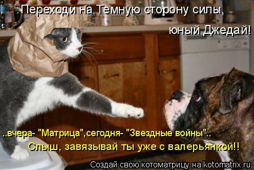 Переходи на Темную сторону силы, юный Джедай! ..вчера- "Матрица",сегодня- "Звездные войны".. Слыш, з... Котоматрица: Переходи на Темную сторону силы, юный Джедай! ..вчера- "Матрица",сегодня- "Звездные войны".. Слыш, завязывай ты уже с валерьянкой!!