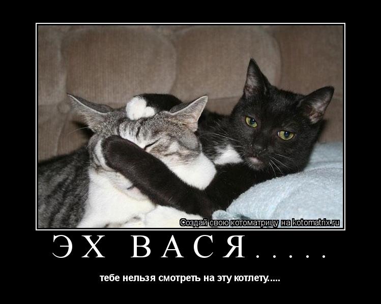 ЭХ ВАСЯ..... тебе нельзя смотреть на эту котлету........ Котоматрица: ЭХ ВАСЯ..... тебе нельзя смотреть на эту котлету.....