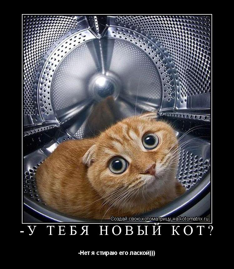 -У тебя новый кот? -Нет я стираю его лаской)))... Котоматрица: -У тебя новый кот? -Нет я стираю его лаской)))