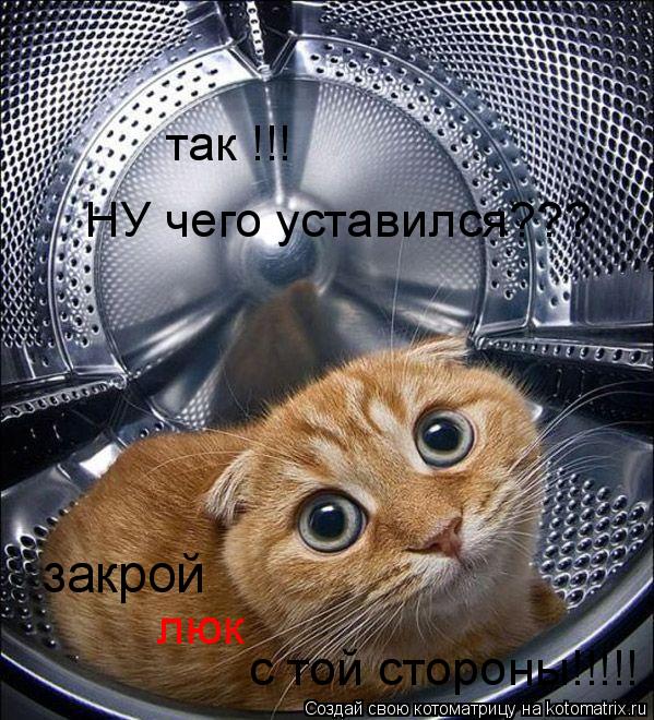 так !!! НУ чего уставился??? закрой люк с той стороны!!!!!... Котоматрица: так !!! НУ чего уставился??? закрой люк с той стороны!!!!!