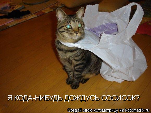 Я КОДА-НИБУДЬ ДОЖДУСЬ СОСИСОК?... Котоматрица: Я КОДА-НИБУДЬ ДОЖДУСЬ СОСИСОК?