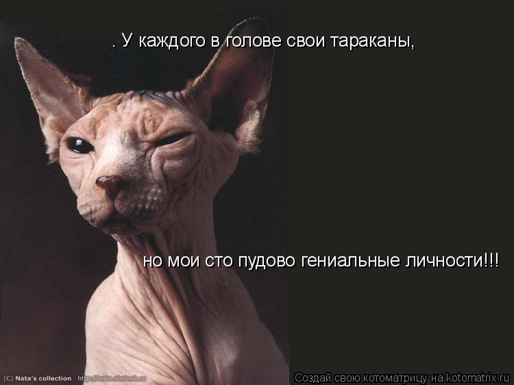 . У каждого в голове свои тараканы, но мои сто пудово гениальные личности!!!... Котоматрица: . У каждого в голове свои тараканы, но мои сто пудово гениальные личности!!!