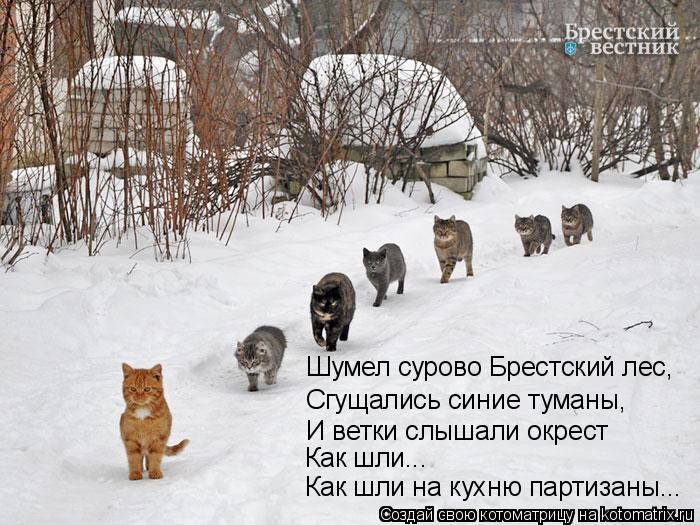 Шумел сурово Брестский лес, Сгущались синие туманы, И ветки слышали окрест Как шли... Как шли на кухн... Котоматрица: Шумел сурово Брестский лес, Сгущались синие туманы, И ветки слышали окрест Как шли... Как шли на кухню партизаны...