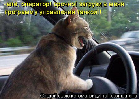 -алё, оператор! срочно! загрузи в меня программу управления тачкой!!... Котоматрица: -алё, оператор! срочно! загрузи в меня программу управления тачкой!!