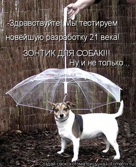 -Здравствуйте! Мы тестируем новейшую разработку 21 века! ЗОНТИК ДЛЯ СОБАК!!! Ну и не только...... Котоматрица: -Здравствуйте! Мы тестируем новейшую разработку 21 века! ЗОНТИК ДЛЯ СОБАК!!! Ну и не только...