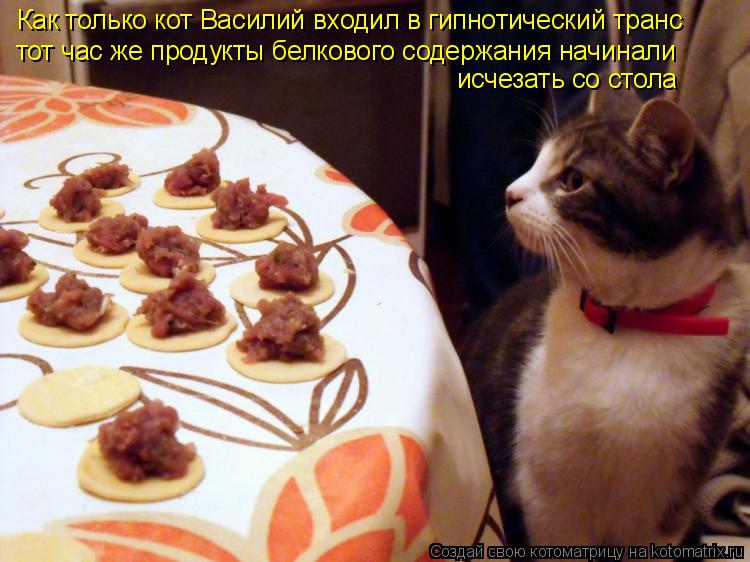 Как только кот Василий входил в гипнотический транс тот час же продукты белкового содержания начинали... Котоматрица: Как только кот Василий входил в гипнотический транс тот час же продукты белкового содержания начинали исчезать со стола