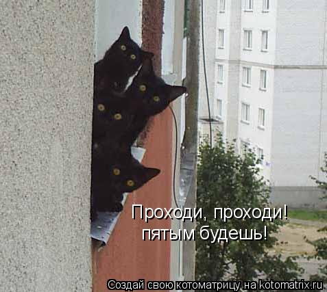 Проходи, проходи! пятым будешь!... Котоматрица: Проходи, проходи! пятым будешь!