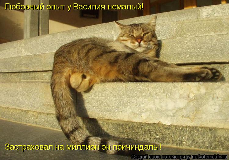 Любовный опыт у Василия немалый! Застраховал на миллион он причиндалы!... Котоматрица: Любовный опыт у Василия немалый! Застраховал на миллион он причиндалы!