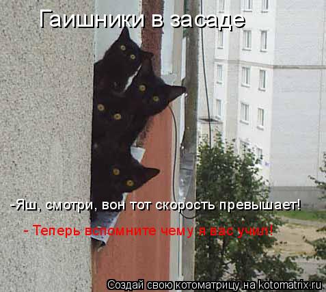 Гаишники в засаде -Яш, смотри, вон тот скорость превышает! - Теперь вспомните чему я вас учил!... Котоматрица: Гаишники в засаде -Яш, смотри, вон тот скорость превышает! - Теперь вспомните чему я вас учил!