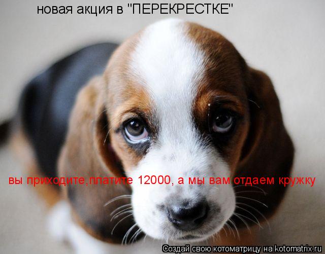 новая акция в "ПЕРЕКРЕСТКЕ" вы приходите,платите 12000, а мы вам отдаем кружку... Котоматрица: новая акция в "ПЕРЕКРЕСТКЕ" вы приходите,платите 12000, а мы вам отдаем кружку