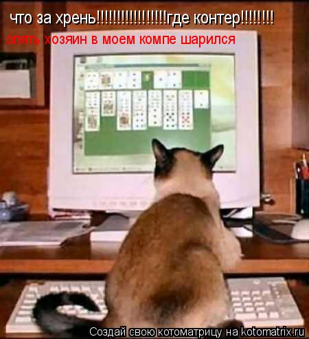 что за хрень!!!!!!!!!!!!!!!!!где контер!!!!!!!! опять хозяин в моем компе шарился... Котоматрица: что за хрень!!!!!!!!!!!!!!!!!где контер!!!!!!!! опять хозяин в моем компе шарился