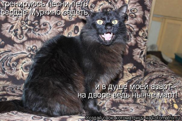 тренируюсь песни петь - сердце Муркино задеть, и в душе моей азарт - на дворе ведь нынче март!... Котоматрица: тренируюсь песни петь - сердце Муркино задеть, и в душе моей азарт - на дворе ведь нынче март!
